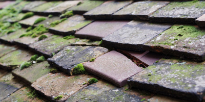 Charlestown roof repair costs